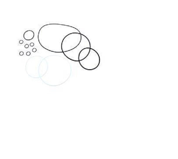 for GENIE 139354GT, 139354, O-RING KIT AUSCO 1200 IN/LB
