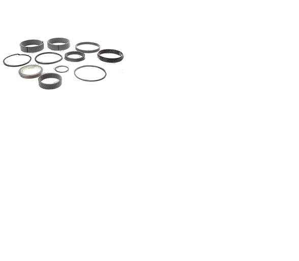 for JLG 2902074 SEAL KIT - LIFT CYLINDER