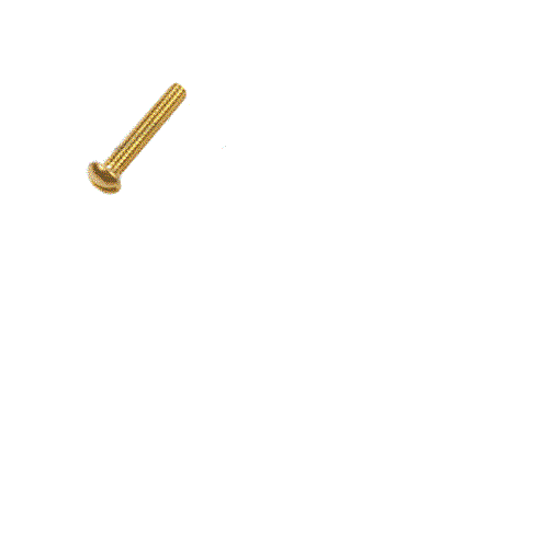 FOR Crown Lift Truck 1.0 RCTF -  SCREW - BRASS 060015-028