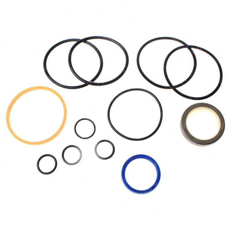 FOR CASE SEAL KIT SK-P-U-10-1.250X2.500 79975C2