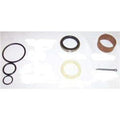 FOR TCM (QTY 2) SEAL KIT - LIFT CYLINDER 24239-49802