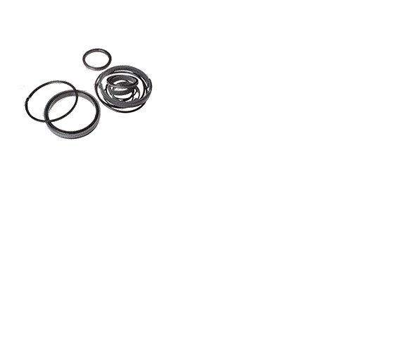 for JLG 2902044 SEAL KIT - LIFT CYLINDER
