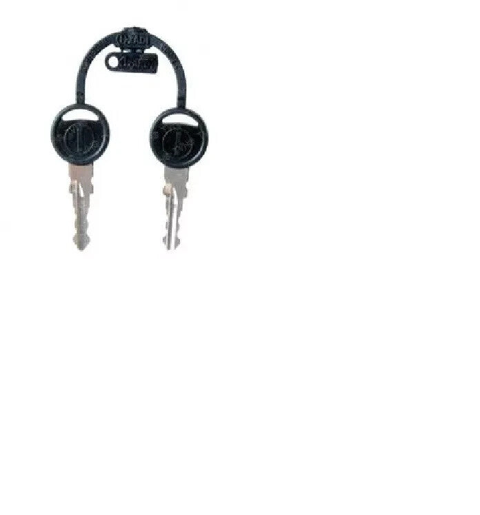 ADVANCE 1462887000 REPL KEYS (2 FOR 1450372000)