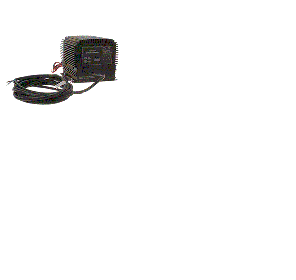 TENNANT 50116 CHARGER - 24V 19A 120/220 VAC 60HZ