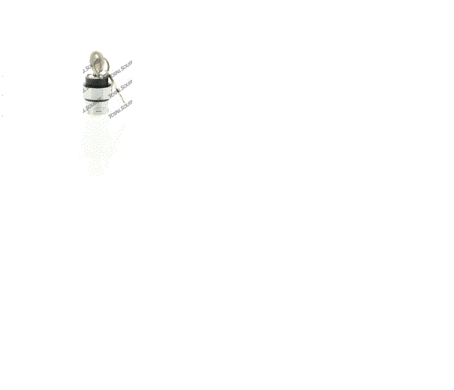 Skyjack 102754 - New Skyjack Key Switch (2 Position) - With Keys