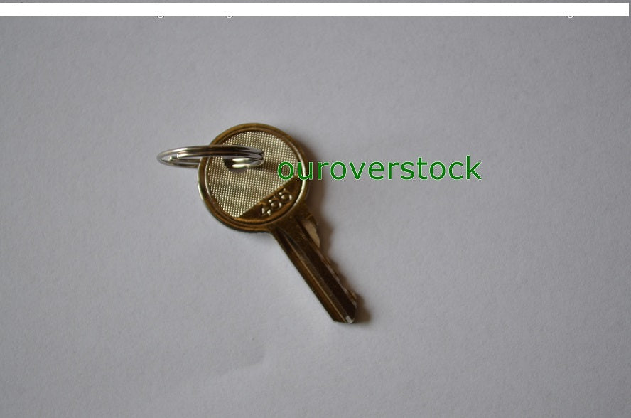 1 key fit Ronis 445 21982 Manlifts FOR Snorkel,FOR Genie GS1530,GS1930, FORTerex