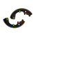 FOR Taylor Dunn Part # 41-640-00 - Brake Shoes (Set of 2)