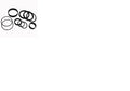 Hyster 0297455, Seal Kit, For Free Lift Cylinder