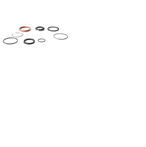 GENIE 88349GT, 88349, SEAL KIT - STEER CYLINDER