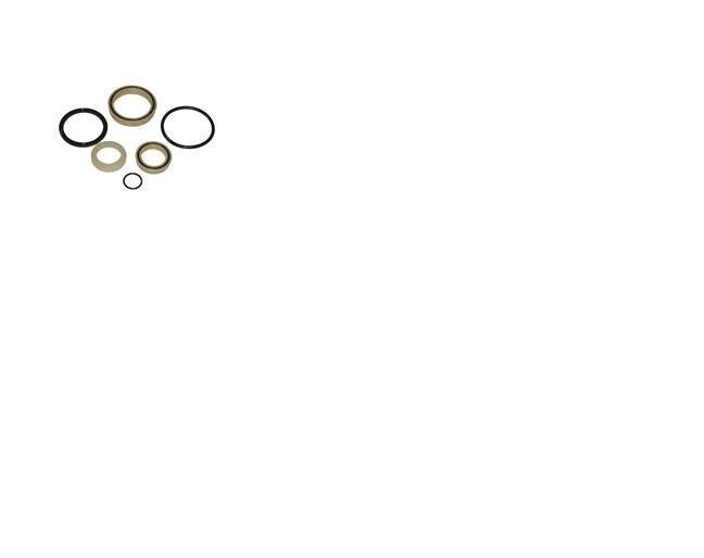 FOR SKYJACK 700454 SEAL KIT - LEVELING CYLINDER