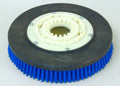 Powerboss 7515, Brush, 13" Poly W/ Plate
