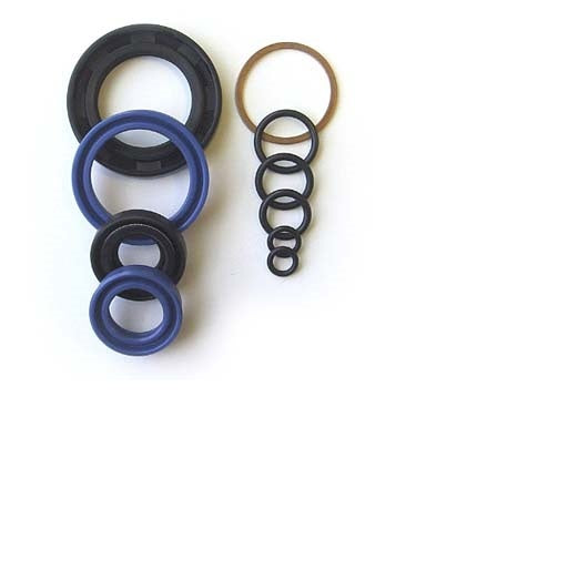 FOR Multiton Model TM55 Seal Kit - Part # 200178730 - New