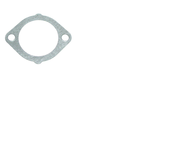Thermostat Gasket for Nissan 11062-07N00
