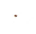 FOR Genie GR-20  NUT 15513