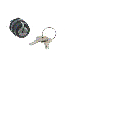 GENIE 66811GT, 66811 NEW GENIE 3 POSITION KEY SWITCH