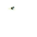 812894-002 SCREW FOR CROWN WP 2300