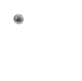 FOR GENIE GR-26J -  BALL  T110156GT