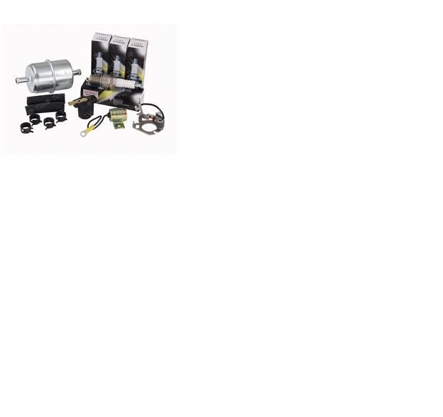 Hyster 996006, Tune Up Kit