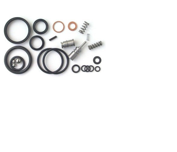 810-456 COMPLETE SEAL KIT FOR BLUE GIANT ROI-5, ROI-55, MTS 2000 HYDRAULIC UNIT