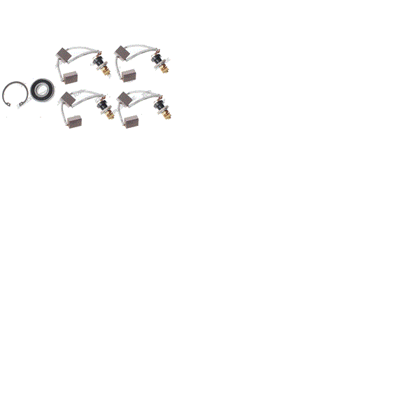 JLG 7024771 BRUSH KIT + BEARING