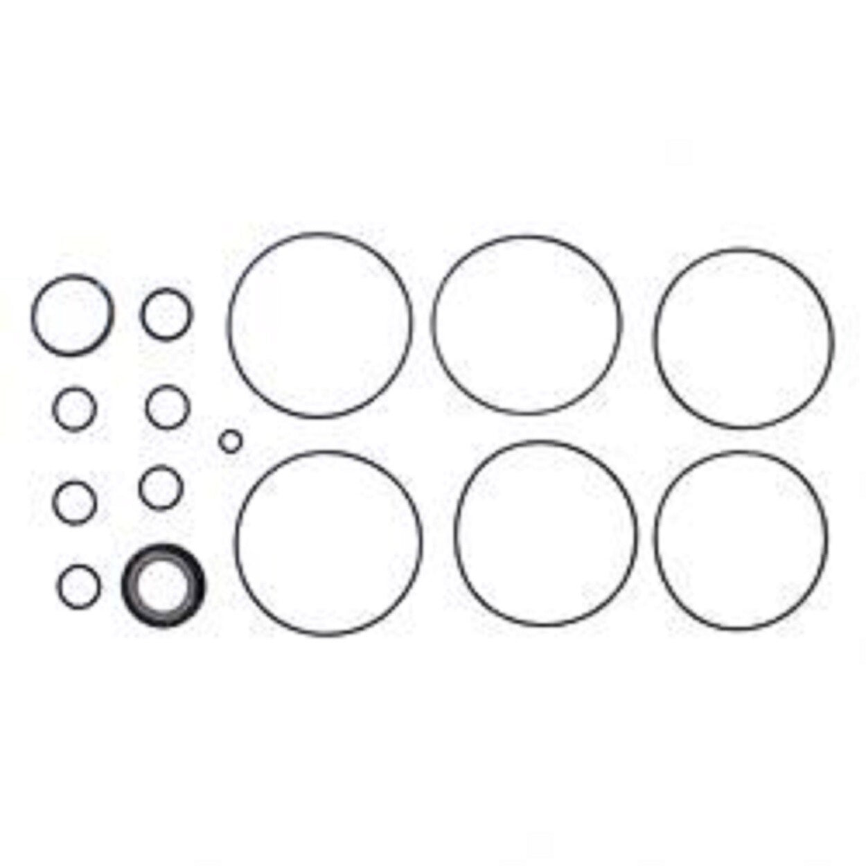 Hyster 1354725, SEAL KIT, ORBITROL VALVE, E120XL3