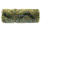 FOR TENNANT 383992, BRUSH - 24", SAND WEDGE, PROEX