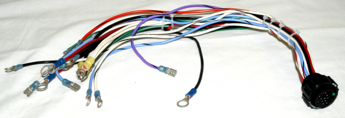 Taylor Dunn 75-148-25, Harness