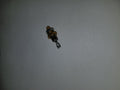 Caterpillar Mitsubishi Diode 375096