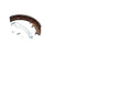 Daewoo D480258, Brake Shoe LH, Forklift