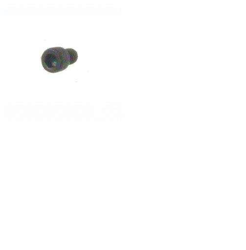 FOR GENIE GR-15 SCREW - HEX CAP Part # 40004