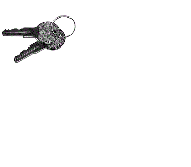 FOR Taylor Dunn Part # 71-120-80 Key Set
